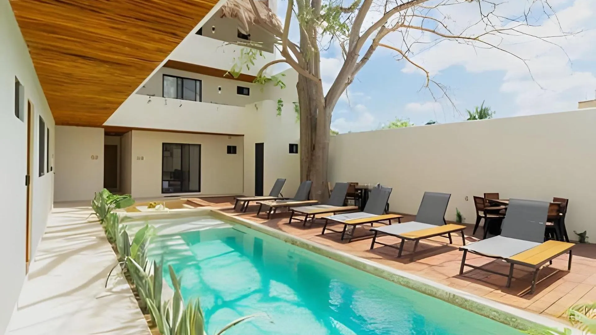 Cedro Departamentos Bacalar Apartment 0*,