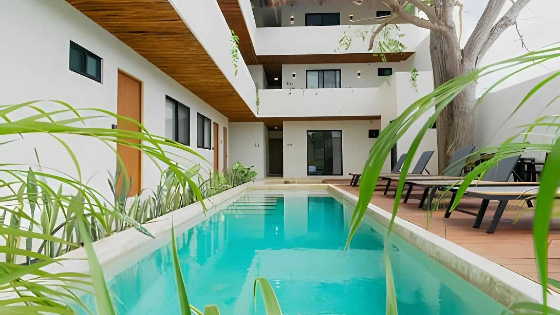 Cedro Departamentos Bacalar Apartment