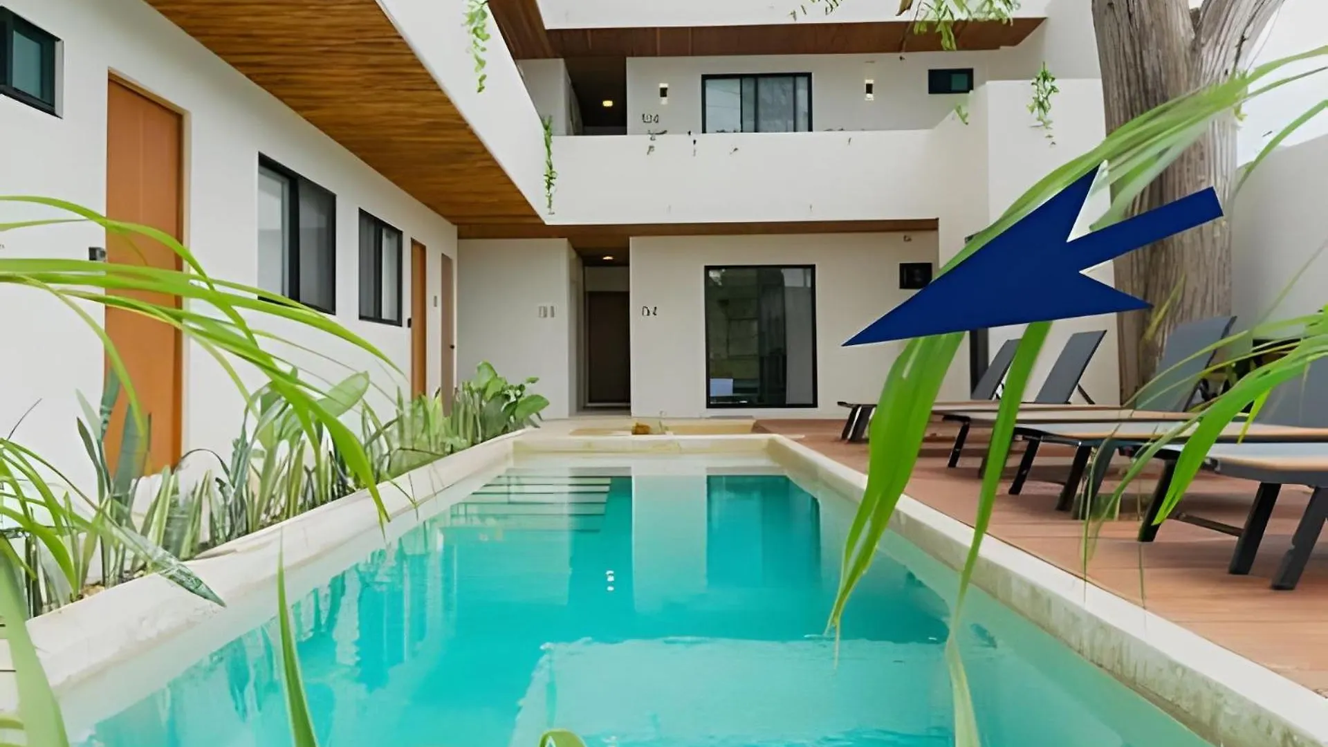 Cedro Departamentos Bacalar Apartment