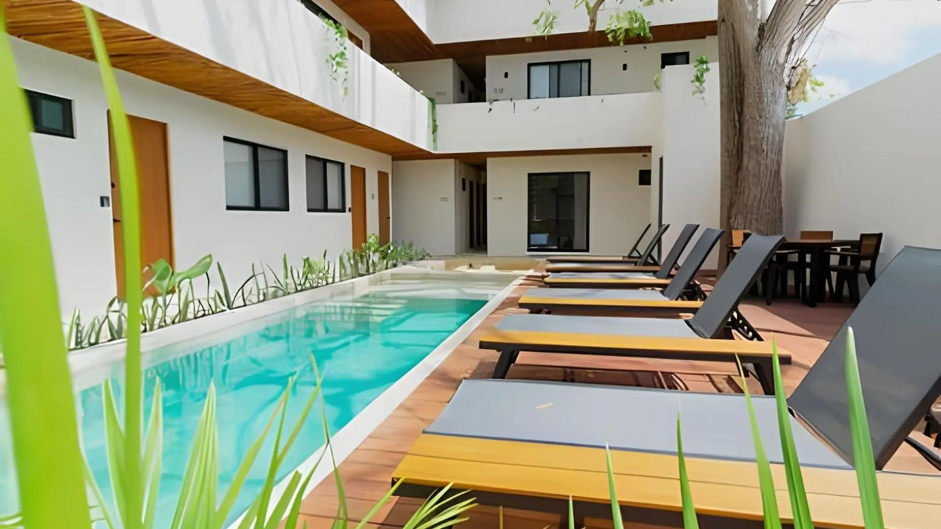 Cedro Departamentos Bacalar Apartment